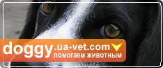 Помогай бездомным животным Украины. Присоединяйся!