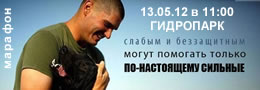 Марафон Накорми бездомных животных - Киев 13.05.12 в 11:00 Гидропарк